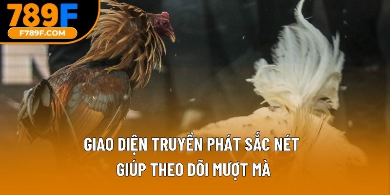 Giao diện truyền phát sắc nét giúp theo dõi mượt mà