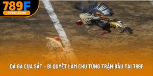 đá gà cựa sắt