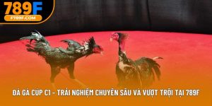 đá gà cúp c1